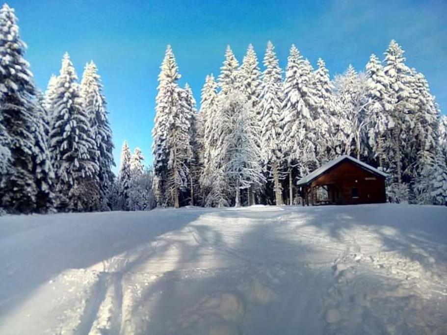 Chalet 3 Etoiles A Gerardmer. Exterior photo